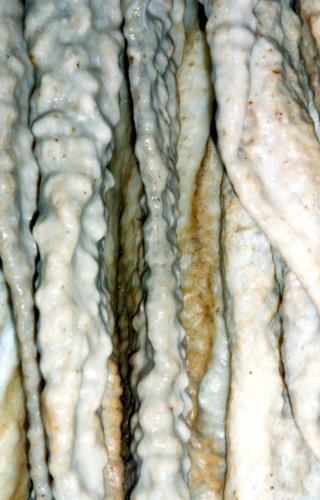 Leopard Skull Cave calcite ribs1[JVolk]